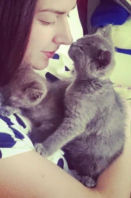 brianda-con-sus-dos-gatos-blogspot